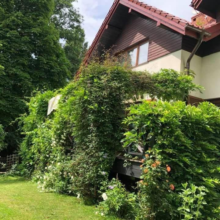 Lesna 6 - House With A Garden Villa Bolechowice Eksteriør billede